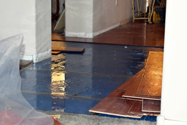 Professional Burst Pipe Cleanup technician working in Holden, MA